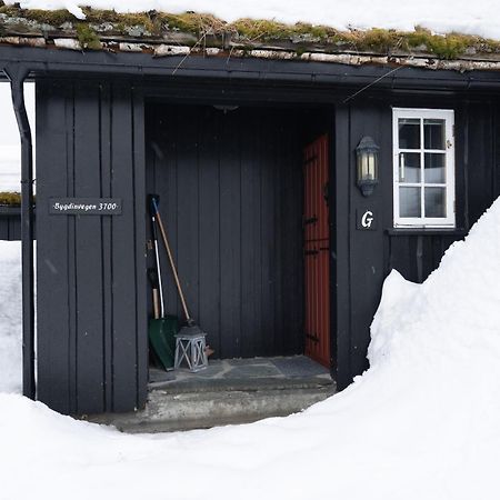 Vila Bitigrenda G Beitostolen Exteriér fotografie